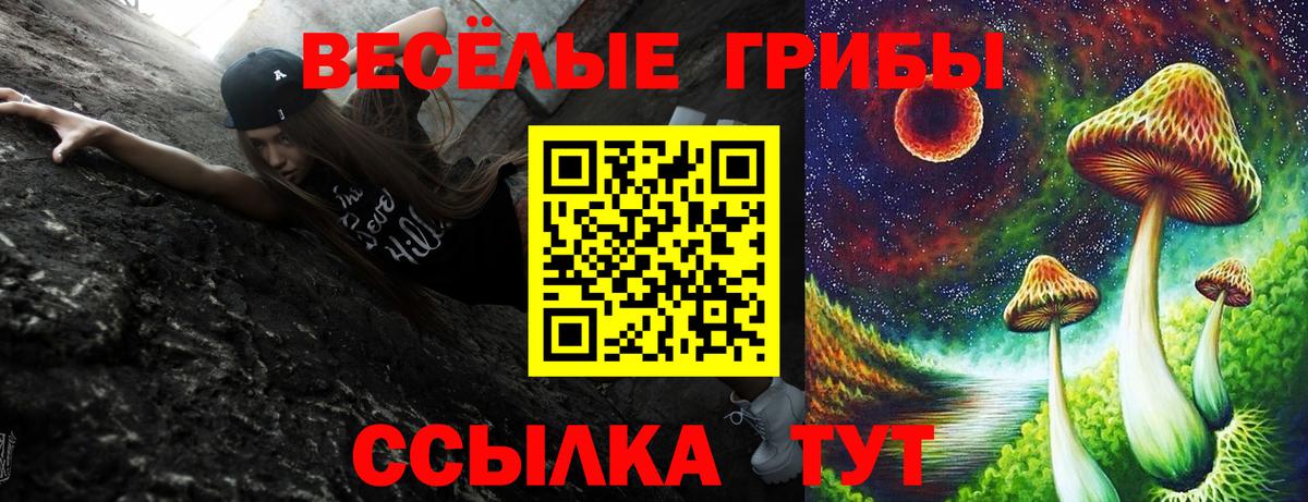 Галлюциногенные грибы ЛСД  Псилоцибиновые грибы прущие грибы  Вход с VPN  Новокубанск 